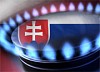 Евросоюз одобрил обменные операции РФ с Украиной для поставок газа Словакии
