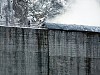 Ледовые наросты не представляют опасности для гидротехнических сооружений СШГЭС