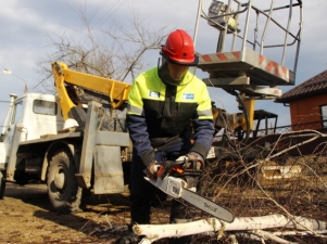 «Краснодарские электрические сети» расчистили 123 га просек ЛЭП в 2018 году