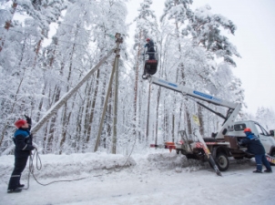 На ЛЭП в Ленинградской области энергетики устранили 515 дефектов за 6 дней