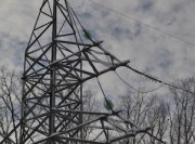 «Адыгейские электрические сети» в 2019 году израсходовали 25 млн рублей на ремонт энергообъектов в Белореченском районе