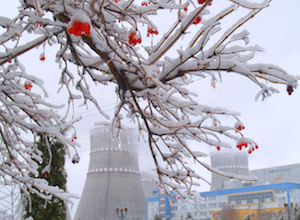 АЭС Украины выработали за сутки 255,82 млн кВт·ч