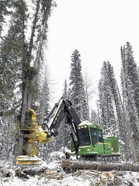 Лесозаготовители Карелии нарушили энергоснабжение в нескольких населенных пунктах