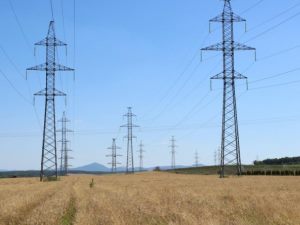 «Кубаньэнерго» подключит к электросетям 17 объектов АПК на юго-западе Краснодарского края