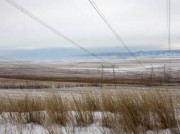 «ФСК ЕЭС» расчистит от сухого камыша 218 га просек ЛЭП в Сибири
