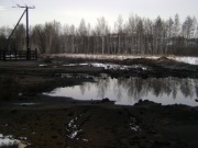 Жители Оренбургской области собирают подписи против добычи нефти в Бузулукском бору