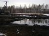 Жители Оренбургской области собирают подписи против добычи нефти в Бузулукском бору