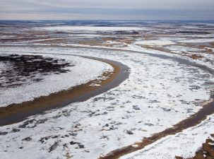 «Транснефть – Сибирь» провела экомониторинг воспроизводства биоресурсов реки Таз