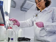 Беломорская биологическая станция МГУ проверяет характеристики микробного препарата
