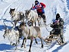 Сохраняя культуру: «Колмар» принял участие в праздновании дня оленевода в Якутии