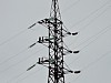 «Приморские электрические сети» вынесли опору ЛЭП 110 кВ «Славянка-Троица-Краскино» за пределы русла реки Виноградовка