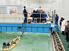 В Китае проведены бассейновые испытания буксиров для порта «Эльга» в ледовых условиях