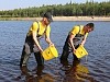 Община «Харампуровская» при поддержке «РН-Пурнефтегаза» увеличивает численность промысловых рыб на Ямале
