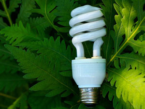 Энергетики ответили на вопросы об энергосбережении