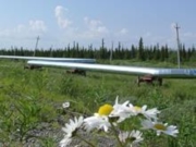 В 2017 году «ЛУКОЙЛ-Коми» заменит 310 километров промысловых нефтепроводов