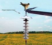120 колпаков от птичьего помета установили энергетики Кабардино-Балкарии