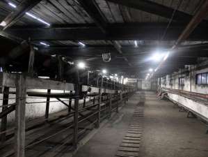 Добропольская ЦОФ установила 130 промышленных LED-светильников на участке конвейерных галерей