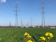 «Кубаньэнерго» подключило к электросетям сельхозпредприятия в Анапе и Новороссийске