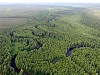 «Россети Тюмень» направили 250 млн рублей на охрану окружающей среды в 2023 году