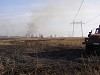 МЭС Сибири провели вырубку деревьев