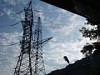 «Россети» расчистят около 600 га трасс воздушных линий электропередачи в Чувашии