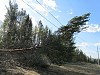 Самовольная рубка леса привела к отключению ЛЭП в Коми-Пермяцком округе