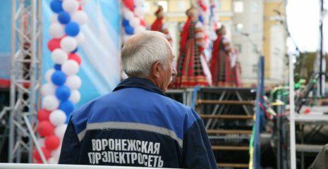 Нарушены правила торгов ФАС на покупку Воронежской горэлектросети