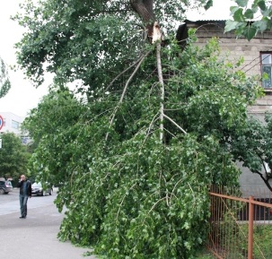 Шквалистый ветер в в Свердловской области стал  причиной отключения электроэнергии в 5 муниципалитетах