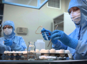 «Ленэнерго» выделило 400 кВт дополнительной мощности крупному производителю вакцин для птиц