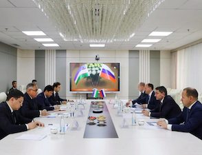 «Россети» и «НЭС Узбекистана» обсудили внедрение передовых технологий в сетевом комплексе
