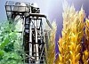 Зерно нельзя использовать для производства биотоплива