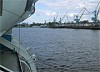 Дальэнергосбыт отключит электроснабжение крупнейшего рыбного порта в Приморье