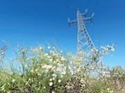 Ростовский производитель зерна получил более 2 МВт мощности для развития