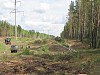«Кировэнерго» за полгода расчистило более 500 га трасс линий электропередачи