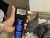 Япония сообщила о радиоактивности рыбы в прибрежных водах рядом с АЭС «Фукусима»