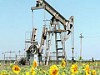 ЛУКОЙЛ-Пермь увеличила добычу нефти и газа