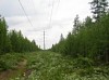 МРСК Северного Кавказа за полгода расчистила более 800 га охранных зон ЛЭП