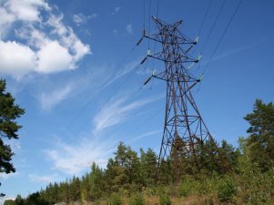Губернатор Магаданской области предложил компании «ДВЭУК» обсудить на ВЭФ перспективу отопления Колымы электричеством