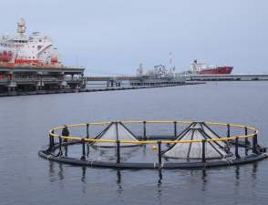 «НИИ Транснефть» запускает полигон объектов аквакультуры