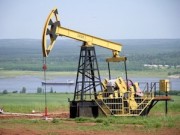 «Удмуртнефть» обустроит куст скважин на Ельниковском месторождении