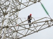 «ФСК ЕЭС» усилит ветровую защиту ключевых энерготранзитов Средней Волги