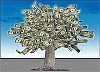 В Коста-Рике деньги «растут на деревьях»