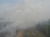 В Западной Сибири обнаружены очаги лесных пожаров вблизи охранных зон ЛЭП