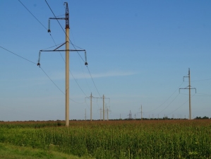 «Тихорецкие электрические сети» расчистят 70 га трасс ВЛ на северо-востоке Кубани