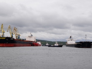 Мурманские портовики с начала 2020 года обработали свыше 250 000 тонн арктических грузов