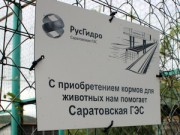 Саратовская ГЭС на протяжении 10 лет помогает хвалынскому вольерному хозяйству