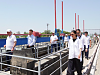 Узбекистан удвоит объем притока воды в Шардару