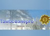 Руководство филиала «Тамбовэнерго» и администрация Тамбовской области обсудили подготовку к зиме