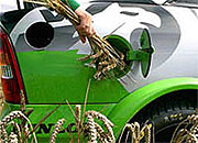 Крупные нефтяные компании делают ставки на биотопливо