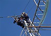 «Ленэнерго» модернизирует линии электропередачи